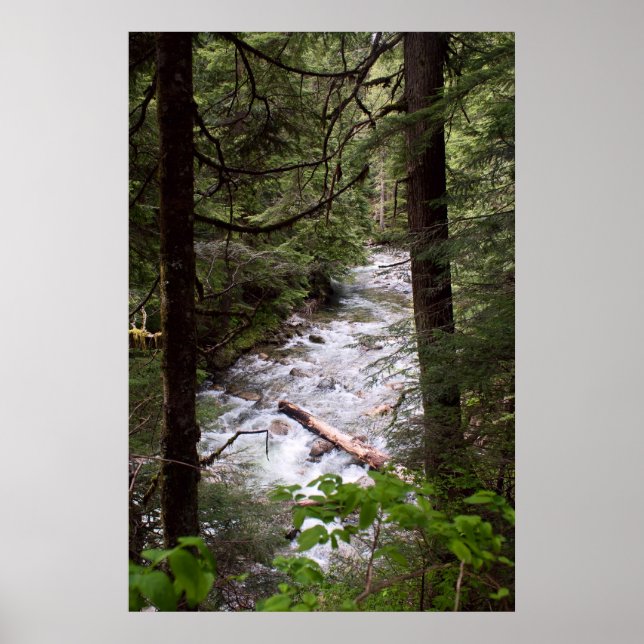 Denny Creek Print (Front)