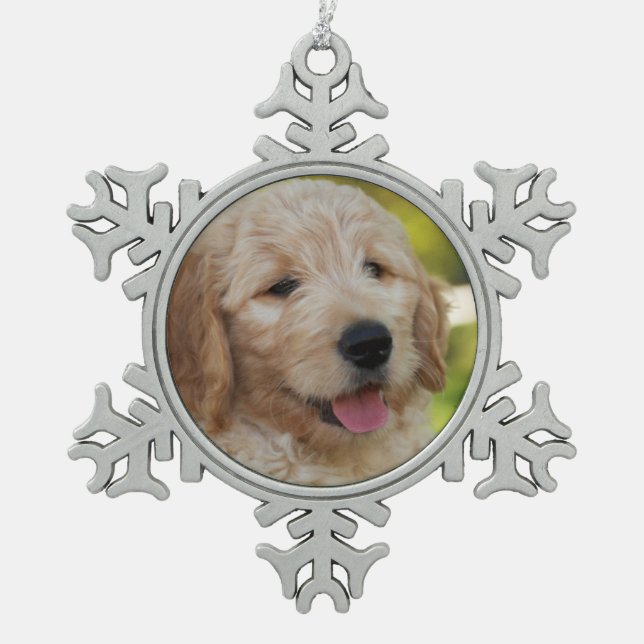 Denny Ornament (Front)