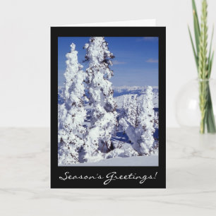 Dense Snow White Christmas Card