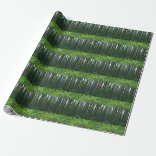 Dense Summer Forest: Landscape Panorama. Wrapping Paper