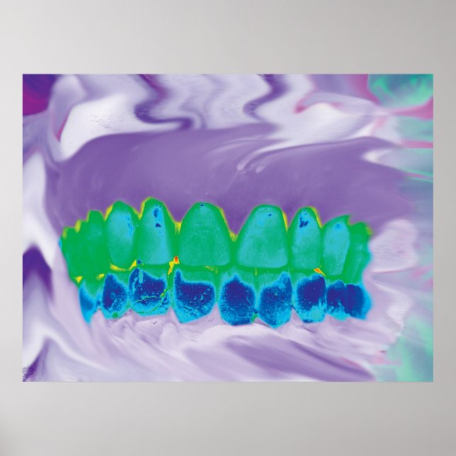 Dental anatomy featuring a colourful teeth model poster (Front)