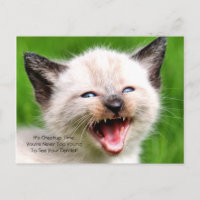 Dental Checkup Appointment Reminder Baby Teeth