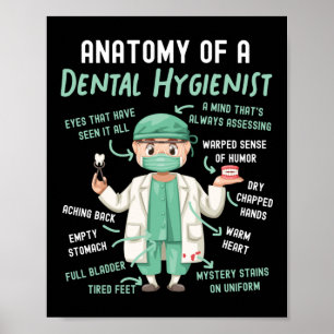 Dental Hygienist Dental Anatomy Of A Dental Poster