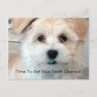 Dental Reminder Postcard