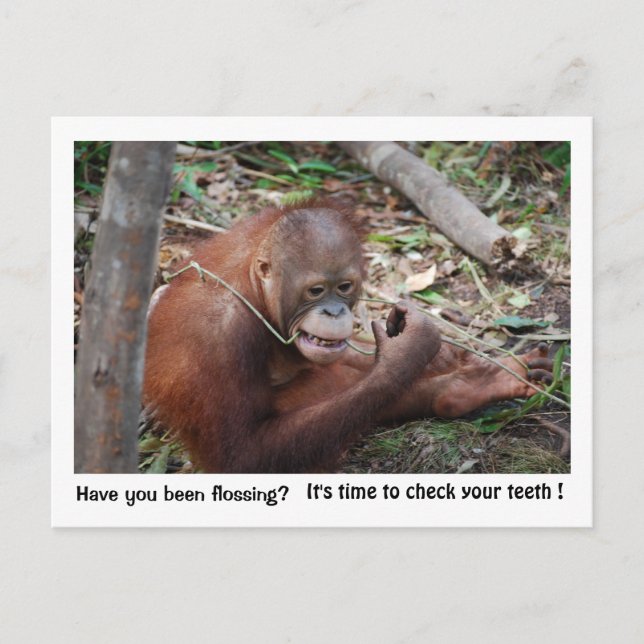 Dentist  Appointment Reminder Postcard (Front)