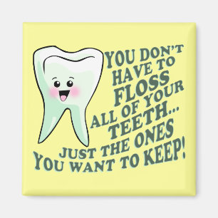 Dentist Dental Hygienist Magnet