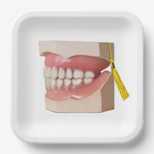 Dentist Dental School Graduation Party Paper Plate (Front)