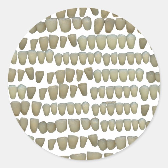 DENTIST DENTISTRY ORTHODONTICS ROTTEN TEETH MOUTH CLASSIC ROUND STICKER (Front)