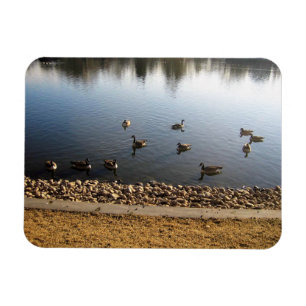 Denver City Park, Denver, Colorado Magnet