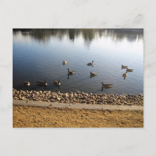 Denver City Park, Denver, Colorado Postcard