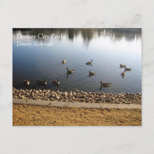 Denver City Park, Denver, Colorado Postcard