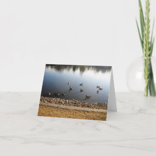 Denver City Park, Denver, Colorado Thank You Card