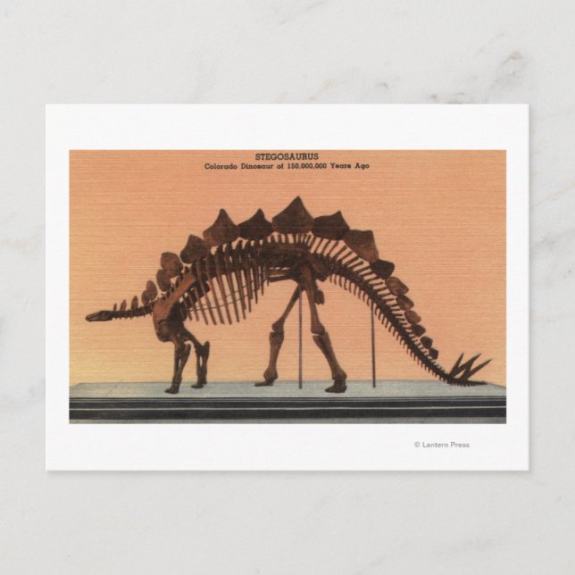 Denver, Colorado - Museum of Natural History 2 Postcard (Front)