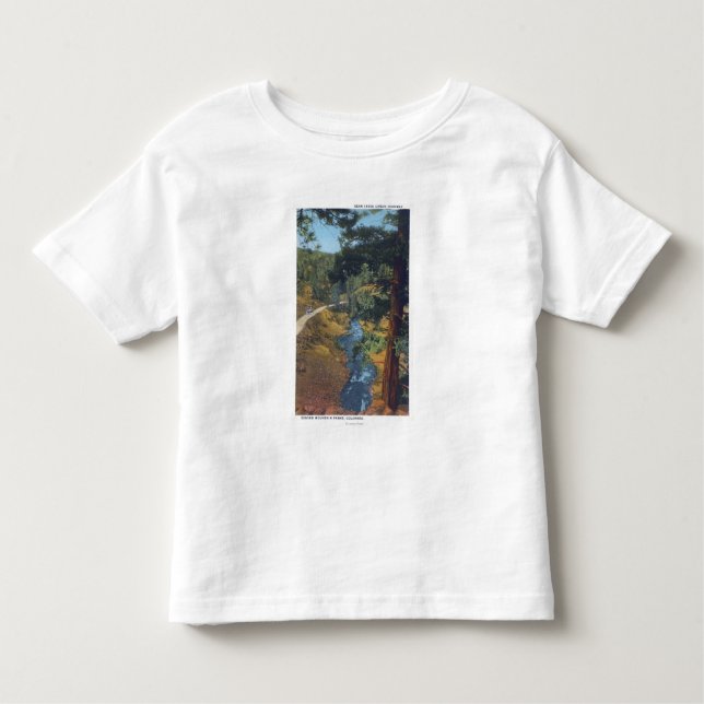 Denver Mountain Park, CO - Bear Creek Canyon Toddler T-Shirt (Front)