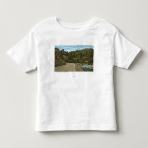 Denver Mountain Park, CO Toddler T-Shirt