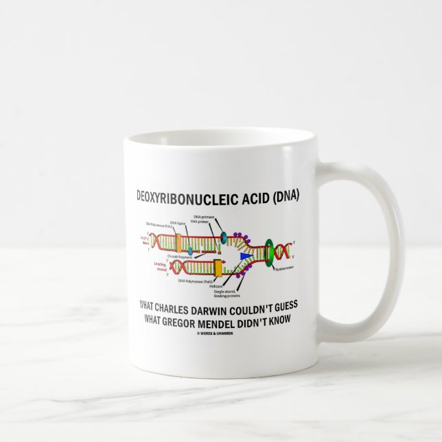Deoxyribonucelic Acid (DNA) Mendel Darwin Coffee Mug (Right)