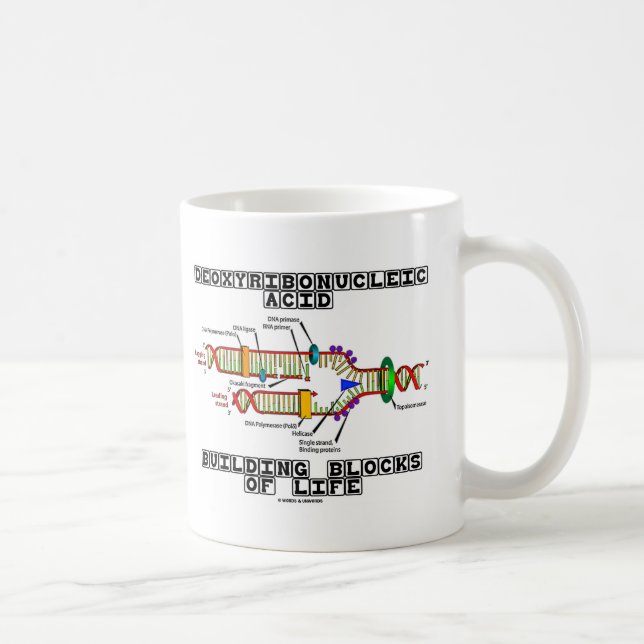 Deoxyribonucleic Acid Building Blocks Of Life Coffee Mug (Right)