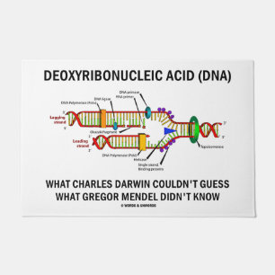 Deoxyribonucleic Acid DNA Darwin Mendel Geek Humou Doormat
