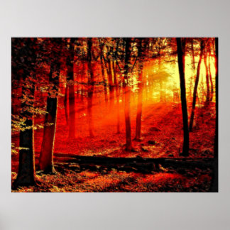 Depth 59 Dabble Poster