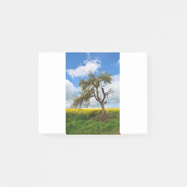 Der alte Baum Post-it Notes (Front)