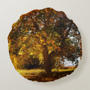 Der Baum im Herbst Round Cushion