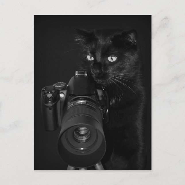 Der Fotograf  - Postkarte Postcard (Front)