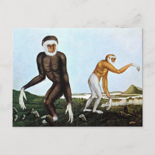 Der Gibbon or The Gibbon (1833) Postcard
