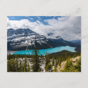 Der Lake Peyto in den Rocky Mountains Postcard