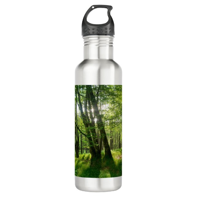 Der Wald im Frühling 710 Ml Water Bottle (Front)