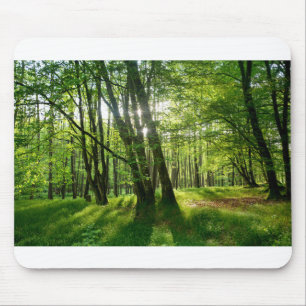 Der Wald im Frühling Mouse Pad