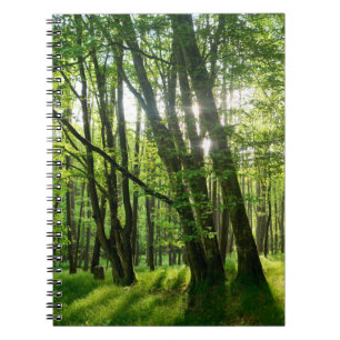 Der Wald im Frühling Notebook