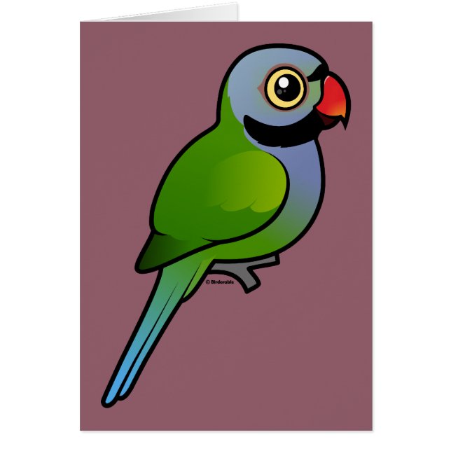 Derbyan Parakeet (Front)