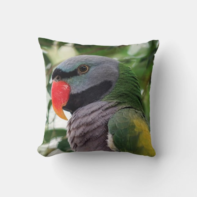 Derbyan Parakeet Throw Pillow (Front)