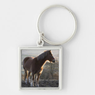 Derbyshire, England Key Ring