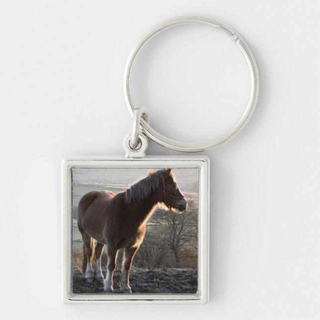 Derbyshire, England Key Ring (Front)