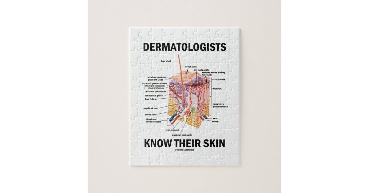 Dermatologists Know Their Skin (Anatomy) Jigsaw Puzzle Zazzle