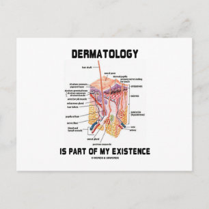 Dermatology Is Part Of My Existence (Skin Layers) Postcard