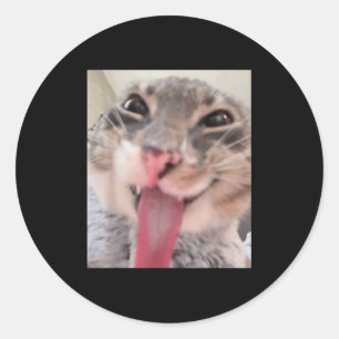 Derpy Cat Tongue Out Meme Funny Weirdcore Gifts Me Classic Round Sticker