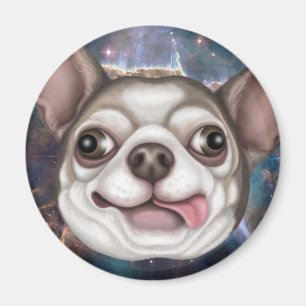 Derpy Chihuahua Magnet