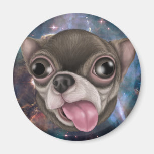 Derpy Chihuahua Magnet