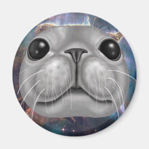 Derpy seal magnet