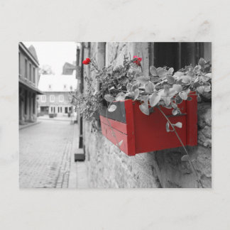 Des fleurs à Montréal Postcard