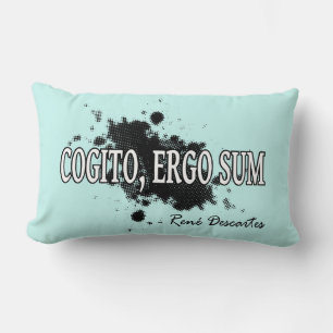 Descartes Lumbar Cushion