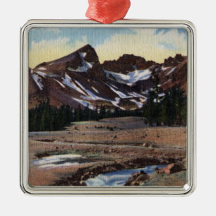Deschutes National Forest, OR Metal Tree Decoration