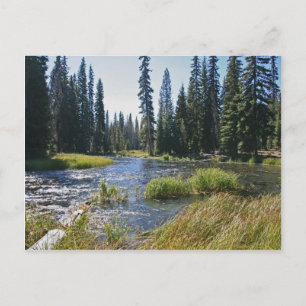 Deschutes River at Little Lava Lake, Oregon Postcard