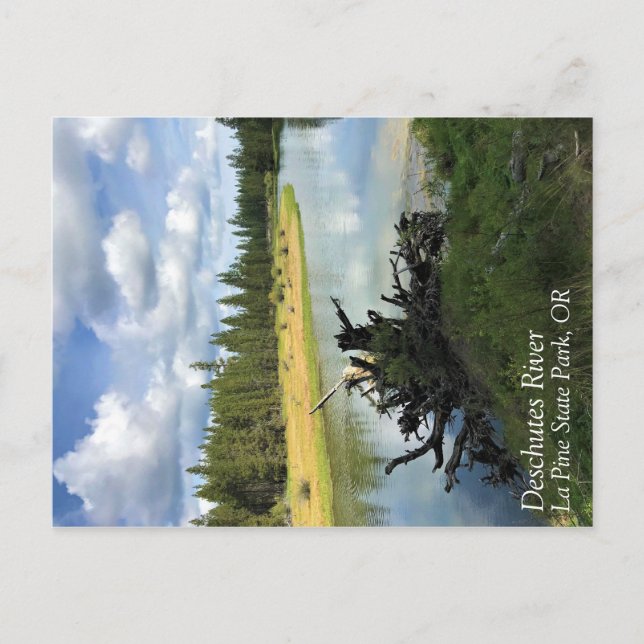 Deschutes River, Oregon Postcard (Front)