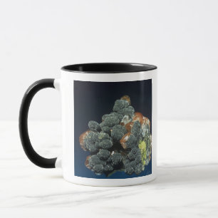 Descloizite on Calcite Mug