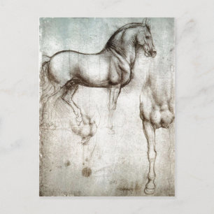 Description Study of horse original image held by Postcard