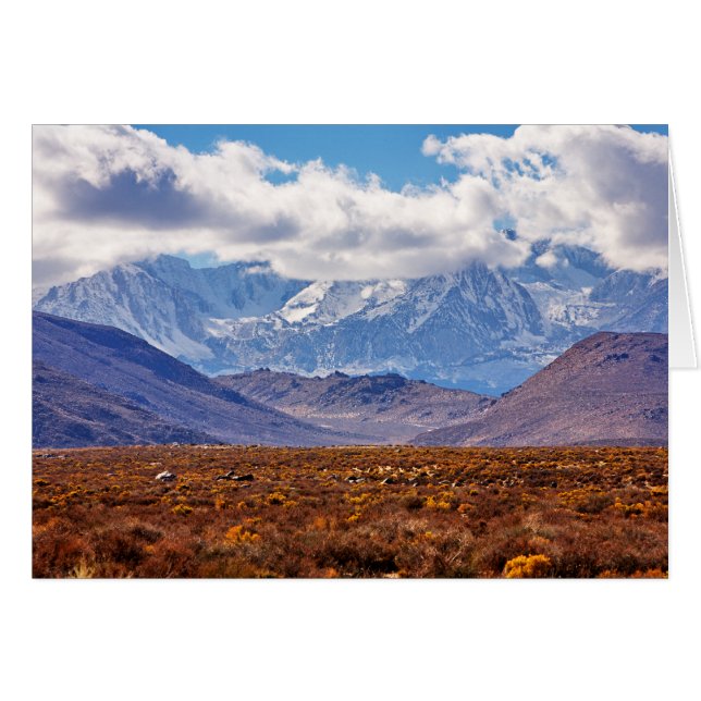 Desert Afternoon (Front Horizontal)