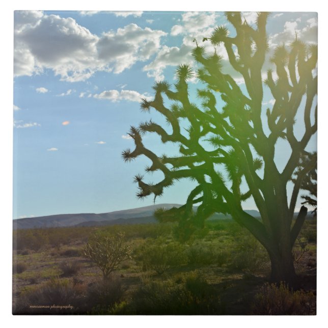 Desert Beauty Ceramic Tile (Front)